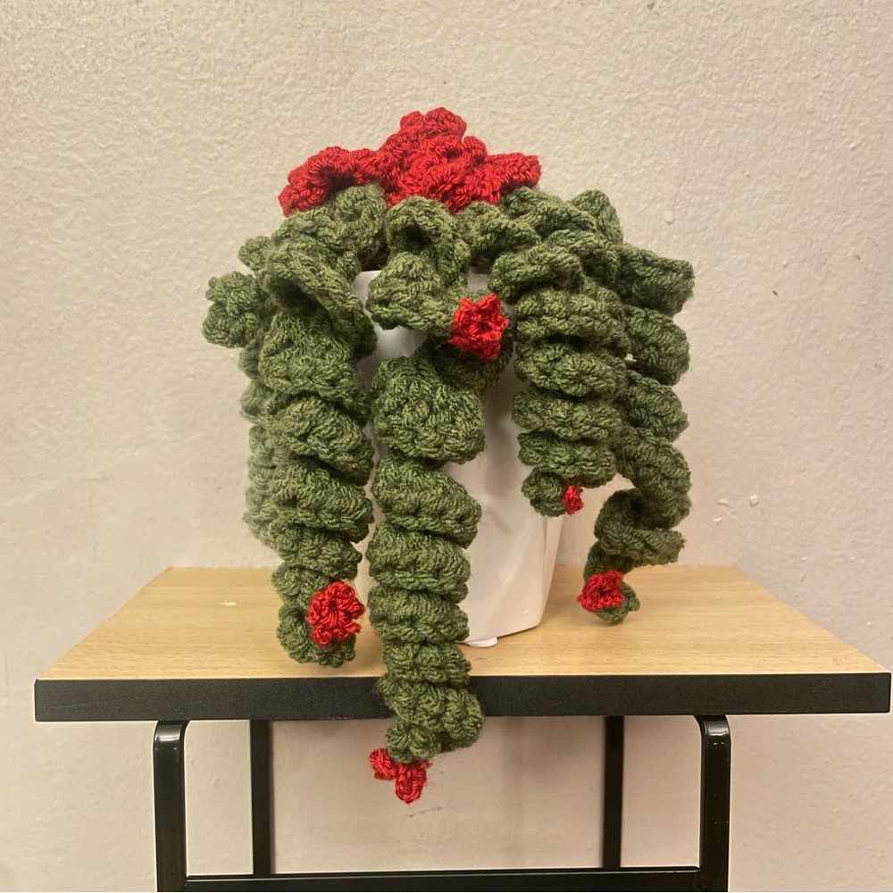 LD Yarn Creations Handmade Green & Red Crocheted Plant Décor – Approx 6” Tall - Picture 2 of 13